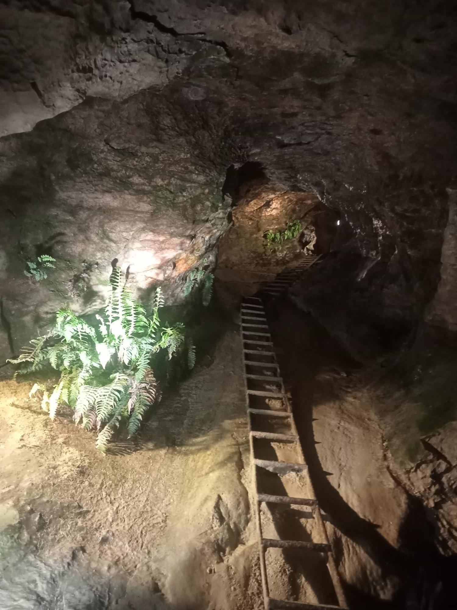 Maisonnette Au Calme Cons-Sainte-Colombe Zewnętrze zdjęcie